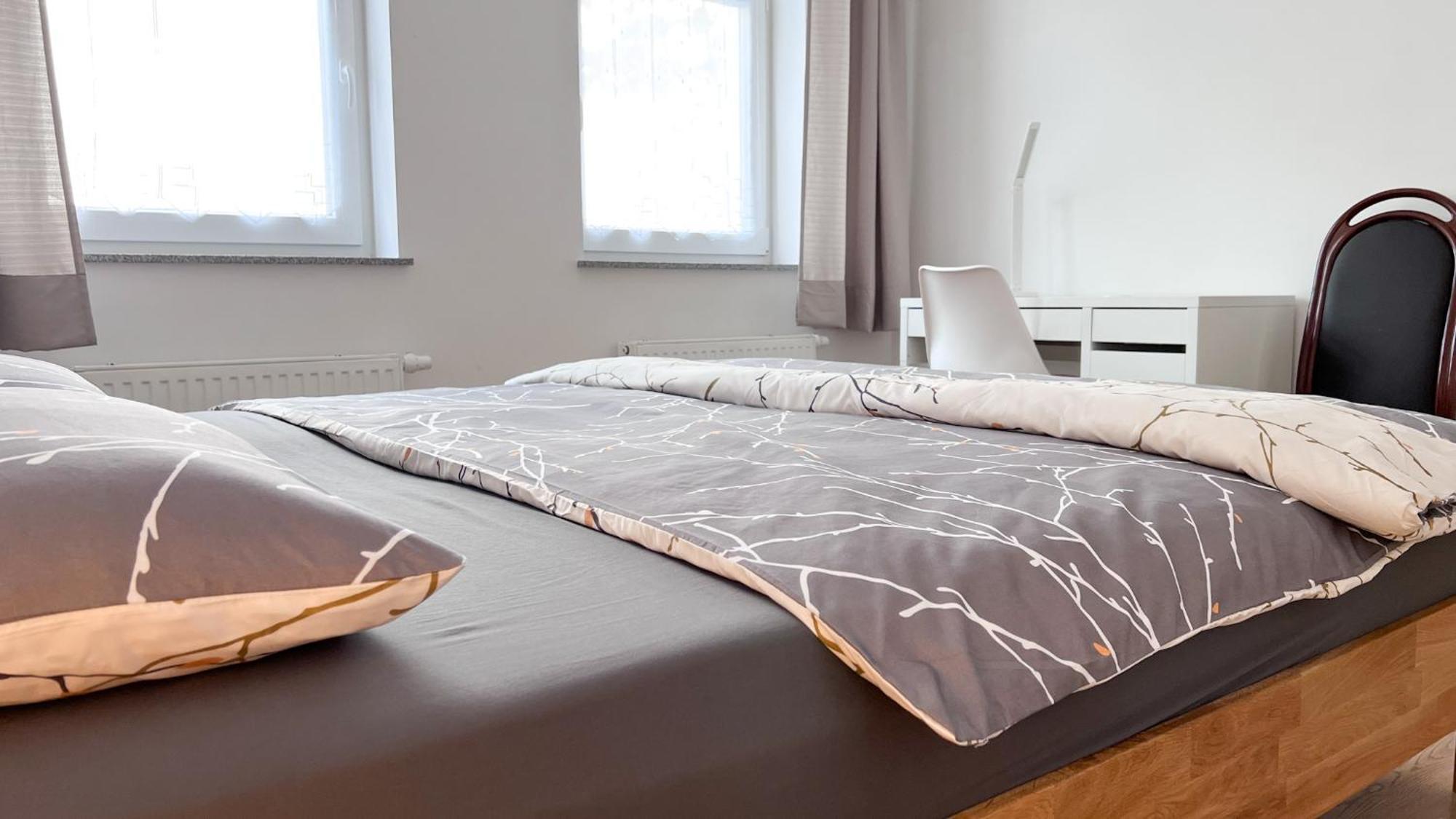 217 Zentrum Ost Apartment ライプツィヒ エクステリア 写真